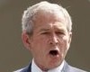 Bush vetoval zákon zakazující mučivé výslechy